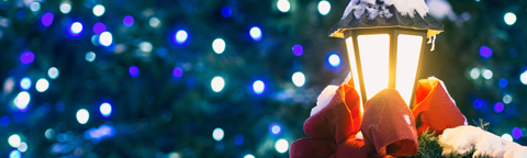 Optima Holiday Schedule 2017